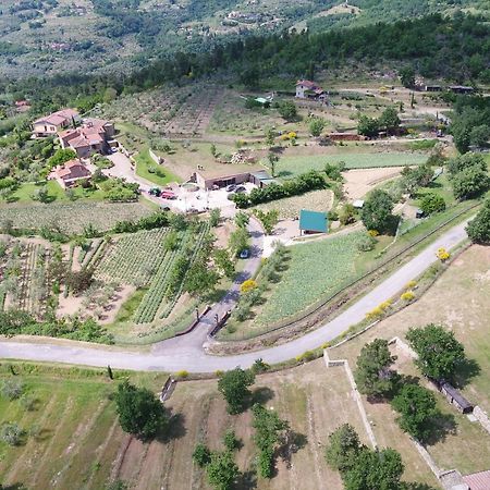 Agriturismo Villa Iris Castelfranco di Sopra Exterior photo